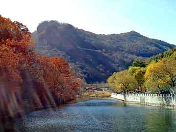 管家婆黑白马报图库，天籁纸鸢风流